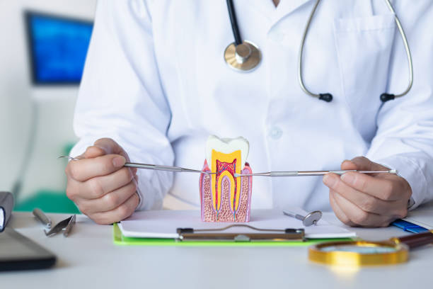 Best Emergency Dental Care for Abscessed Tooth in Clifton, TX
